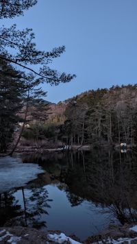 CAMPiii（キャンピー） こっこぉー
