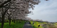 CAMPiii（キャンピー） たーぼー