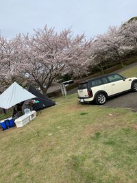 CAMPiii（キャンピー） もんたな