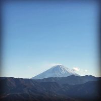 CAMPiii（キャンピー） 空とぶ犬
