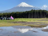 CAMPiii（キャンピー） TKG  camp