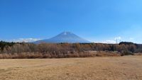 CAMPiii（キャンピー） まりも