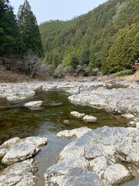 CAMPiii（キャンピー） かわしゅう