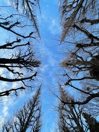 CAMPiii（キャンピー） てくさん