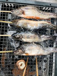 CAMPiii（キャンピー） すけ