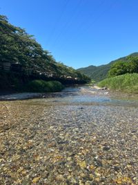 CAMPiii（キャンピー） ふくすけ