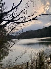 CAMPiii（キャンピー） たあこ
