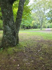 CAMPiii（キャンピー） まぁる
