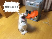 CAMPiii（キャンピー） たい