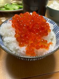 CAMPiii（キャンピー） サバイバル