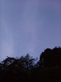 CAMPiii（キャンピー） 阿部祐子