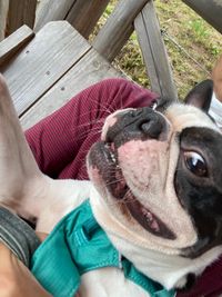 CAMPiii（キャンピー） つむじまがり