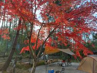 CAMPiii（キャンピー） こば  