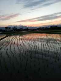 CAMPiii（キャンピー） アリマサ
