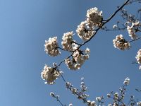 CAMPiii（キャンピー） みなみ