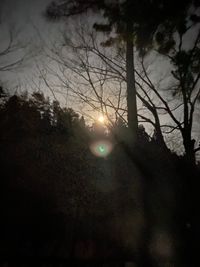 CAMPiii（キャンピー） 原付
