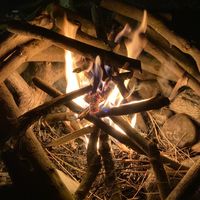 CAMPiii（キャンピー） しのぴー