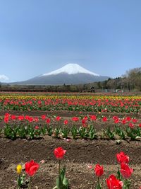 CAMPiii（キャンピー） あきらぱん
