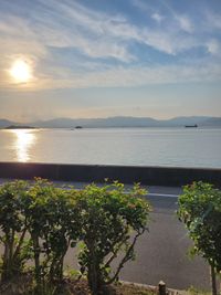 CAMPiii（キャンピー） めぐごん