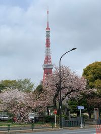 CAMPiii（キャンピー） 一重