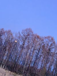 CAMPiii（キャンピー） すなぎも