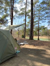 CAMPiii（キャンピー） トリ