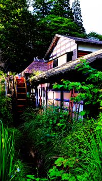 CAMPiii（キャンピー） さとこ