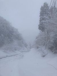 CAMPiii（キャンピー） しゅん