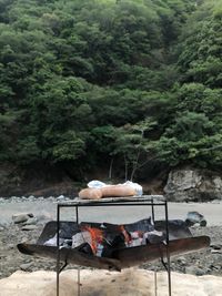 CAMPiii（キャンピー） こうき