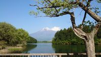 CAMPiii（キャンピー） oto