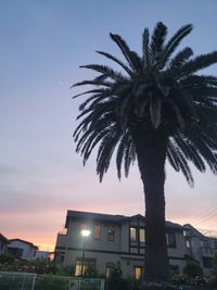 CAMPiii（キャンピー） ねね