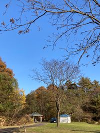 CAMPiii（キャンピー） もん