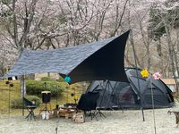 CAMPiii（キャンピー） のりさん