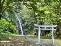CAMPiii（キャンピー） たつくん