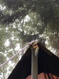 CAMPiii（キャンピー） さなへ