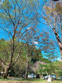 CAMPiii（キャンピー） すずな