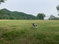 CAMPiii（キャンピー） けいすけ