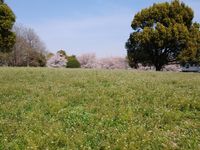 CAMPiii（キャンピー） 楽園キャンプ