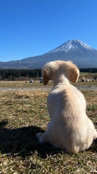 CAMPiii（キャンピー） hidtsi
