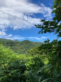 CAMPiii（キャンピー） うがつく人