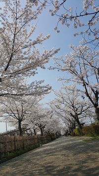 CAMPiii（キャンピー） 茂蔵あばら