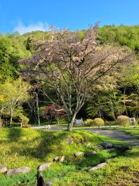 CAMPiii（キャンピー） みさき