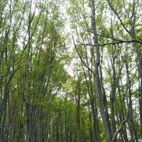 CAMPiii（キャンピー） takahashi