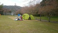 CAMPiii（キャンピー） 和也