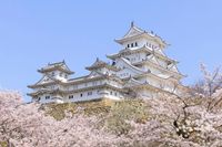CAMPiii（キャンピー） すほーい