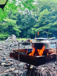 CAMPiii（キャンピー） まきお