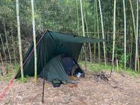 CAMPiii（キャンピー） 薪スタンダード