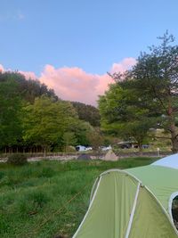 CAMPiii（キャンピー） たっぺ