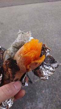 CAMPiii（キャンピー） ごりら