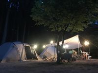 CAMPiii（キャンピー） ミートボール